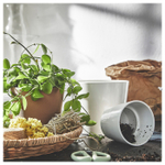 Горшок для растений IKEA SOJABONA (СОЙАБОНА), Белый, 12 см