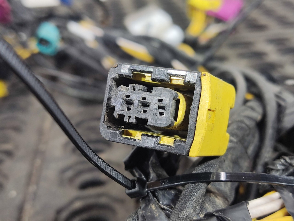 Проводка крыши 2023г