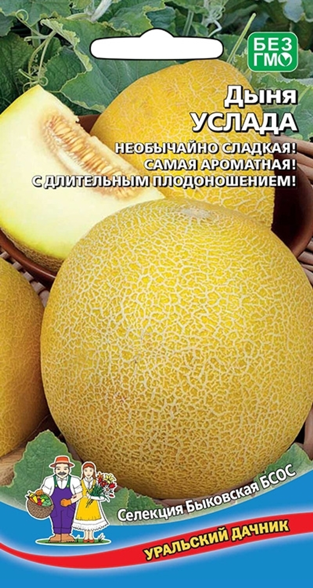 дыня Услада