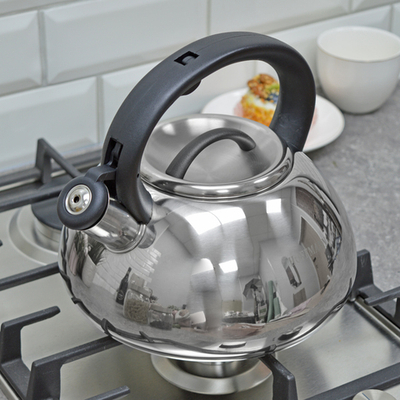 Чайник 3л со свистком НМ 55171