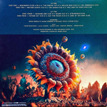 The Flower Kings / Look At You Now (2LP)
