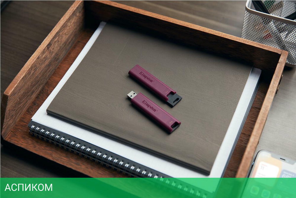 USB Flash-накопитель Kingston Data Traveler Max 1TB бордовый (DTMAXA/1TB)
