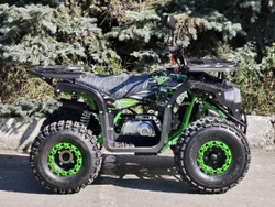 Квадроцикл RMOTO Lion 125AR Lite