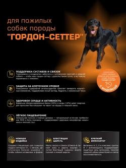Корм для Гордон-сеттер старше 5 лет, с индейкой, 3 кг