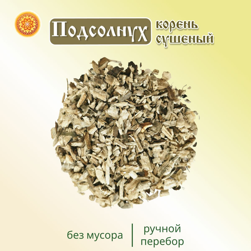 Подсолнух корень.