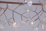 Pendant design lamp  Heracleum  Big O by Moooi (Brass,  D51)