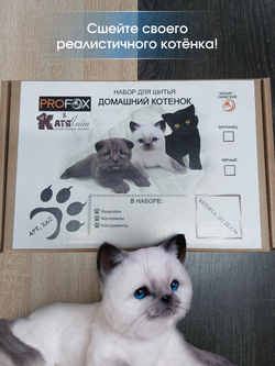 МК с набором для шитья "Реалистичный сиамский котенок"