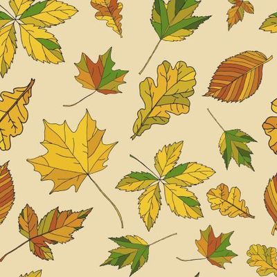 Осенние листья