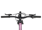 Maxiscoo 5BIKE 24'' L200 (2025)