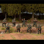 Italian Infantry