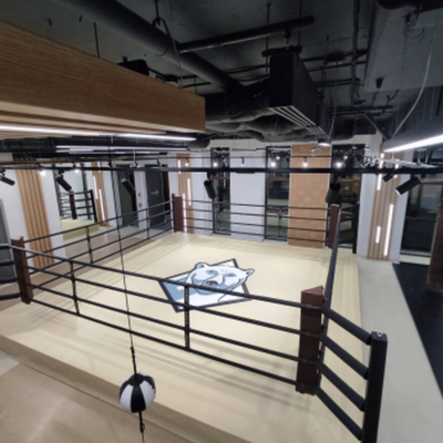 Ринг боксерский TARGEX на помосте высотой 0,3 м