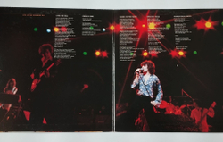 Винтажная виниловая пластинка LP Ian Gillan Band Live At The Budokan Vol.2 (Japan 1978) (No Obi)