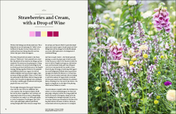 The Gardener`s Palette: Creating Colour Harmony in the Garden
