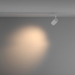 Трековый однофазный светодиодный светильник Maytoni Unity Vuoro TR003-1-10W3K-M-W