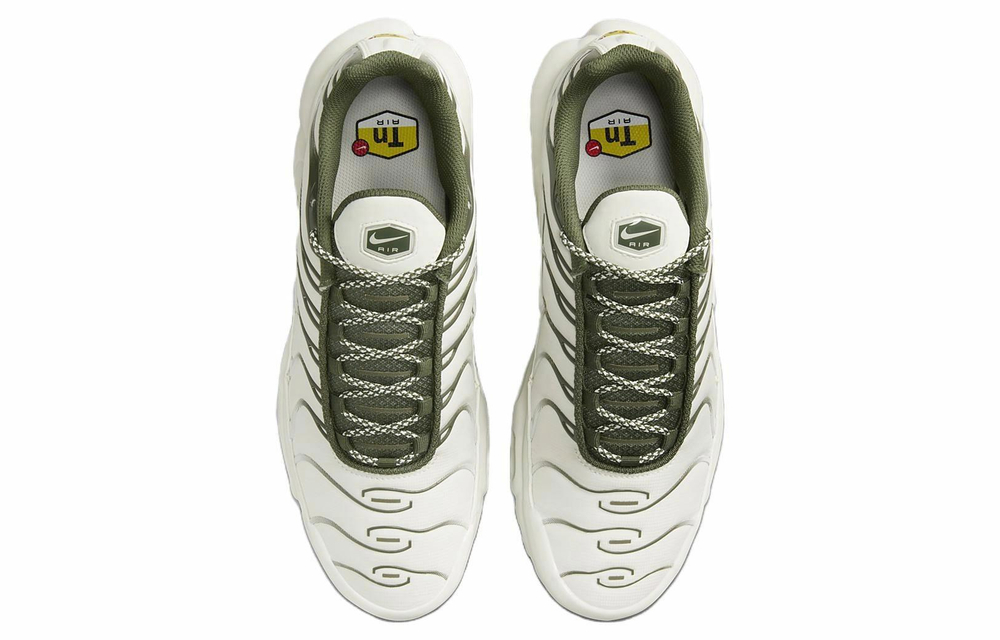 Кроссовки Nike Air Max Plus