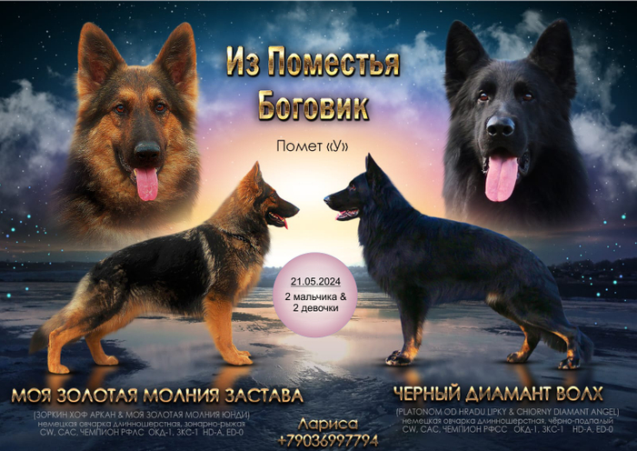 Помет "У"