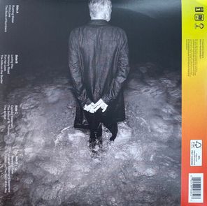 Sting / The Bridge (Deluxe Edition)(2LP)