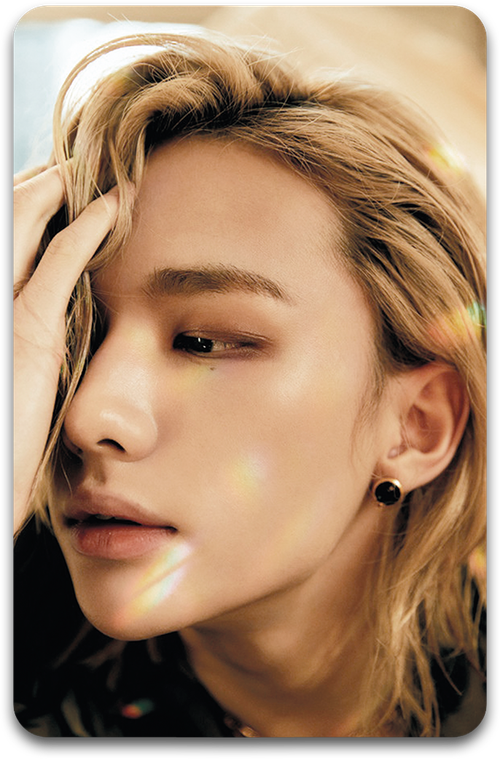 Карта / STRAY KIDS #3088