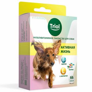 Мультивитаминное лакомство Triol "Активная жизнь" для собак