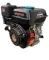 Двигатель &quot;DAMAN&quot; DM107P20 (7 л.с.)