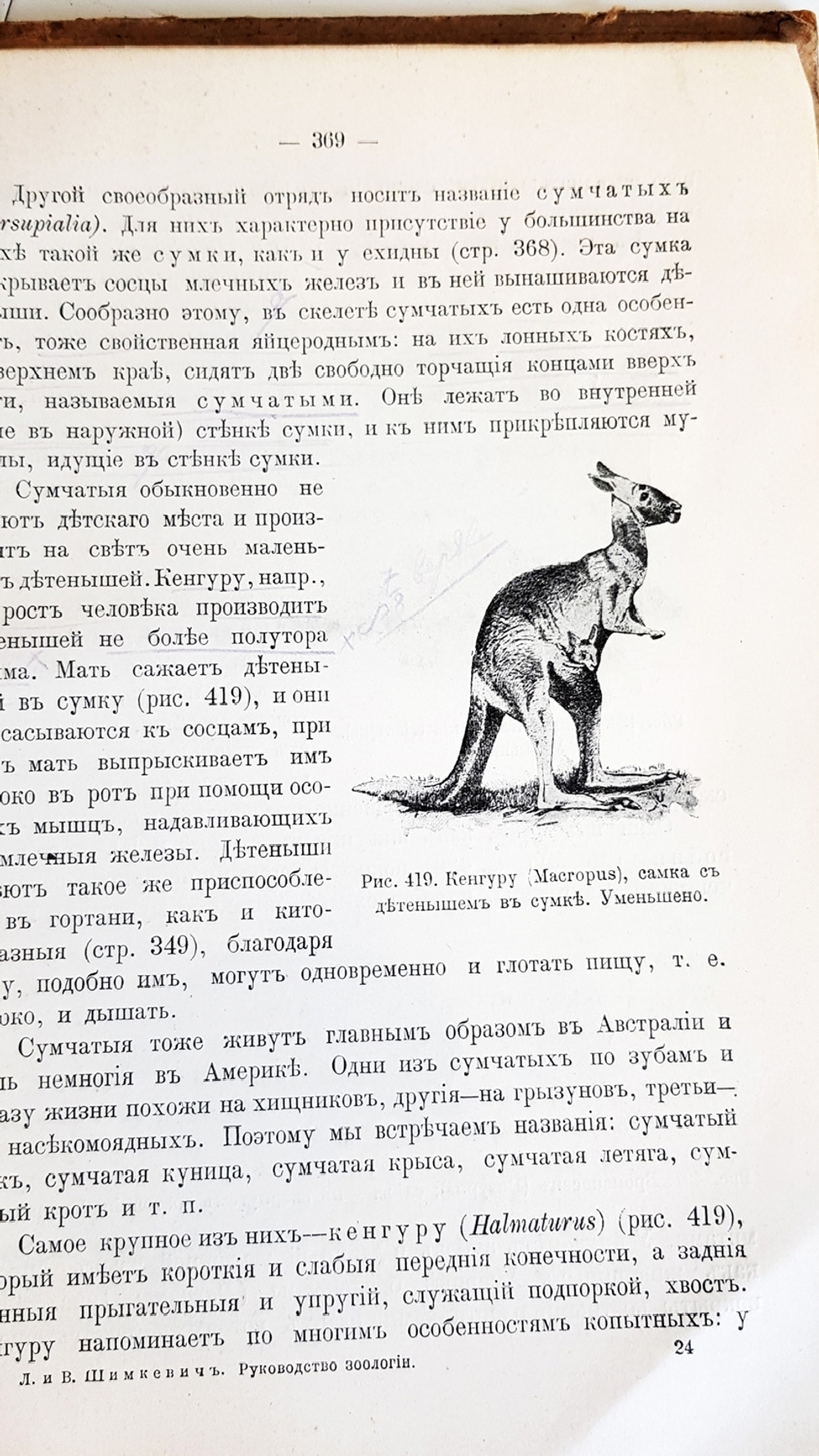 "Руководство зоологии. Для мужских средне-учебных заведений". Л. и В.Шимкевич. 1910 г.
