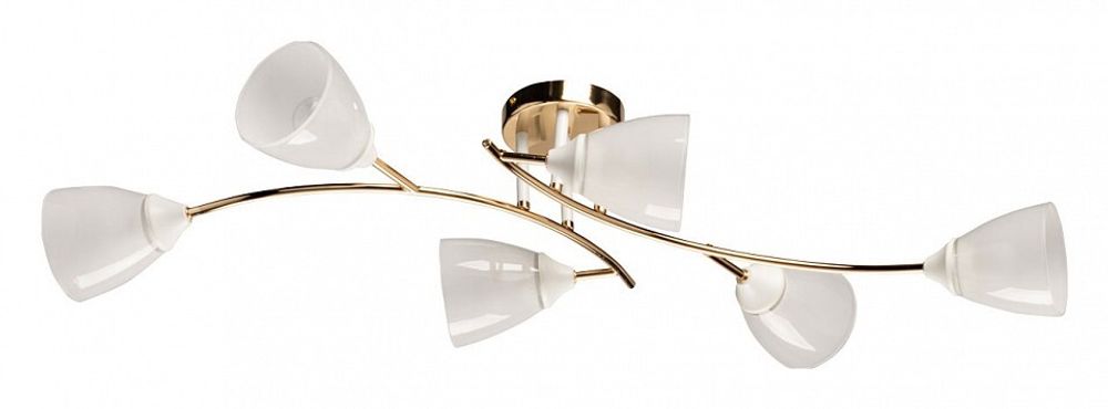 Потолочная люстра De City Восторг 25 242018006