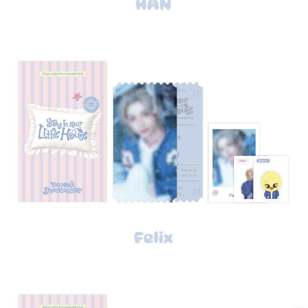 Набор фотокарт Stray Kids - STAY in Our Little House