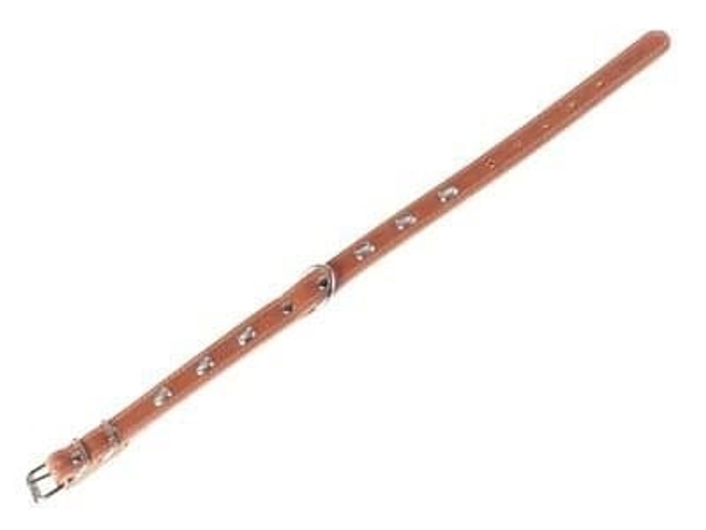 Ошейник двойной с украшением, коричневый (ширина 20мм, длина 32-40см)  Collar