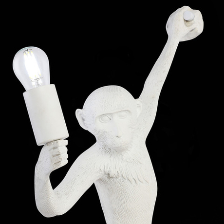 Светильник настенный Evoluce Tenato SLE115111-01