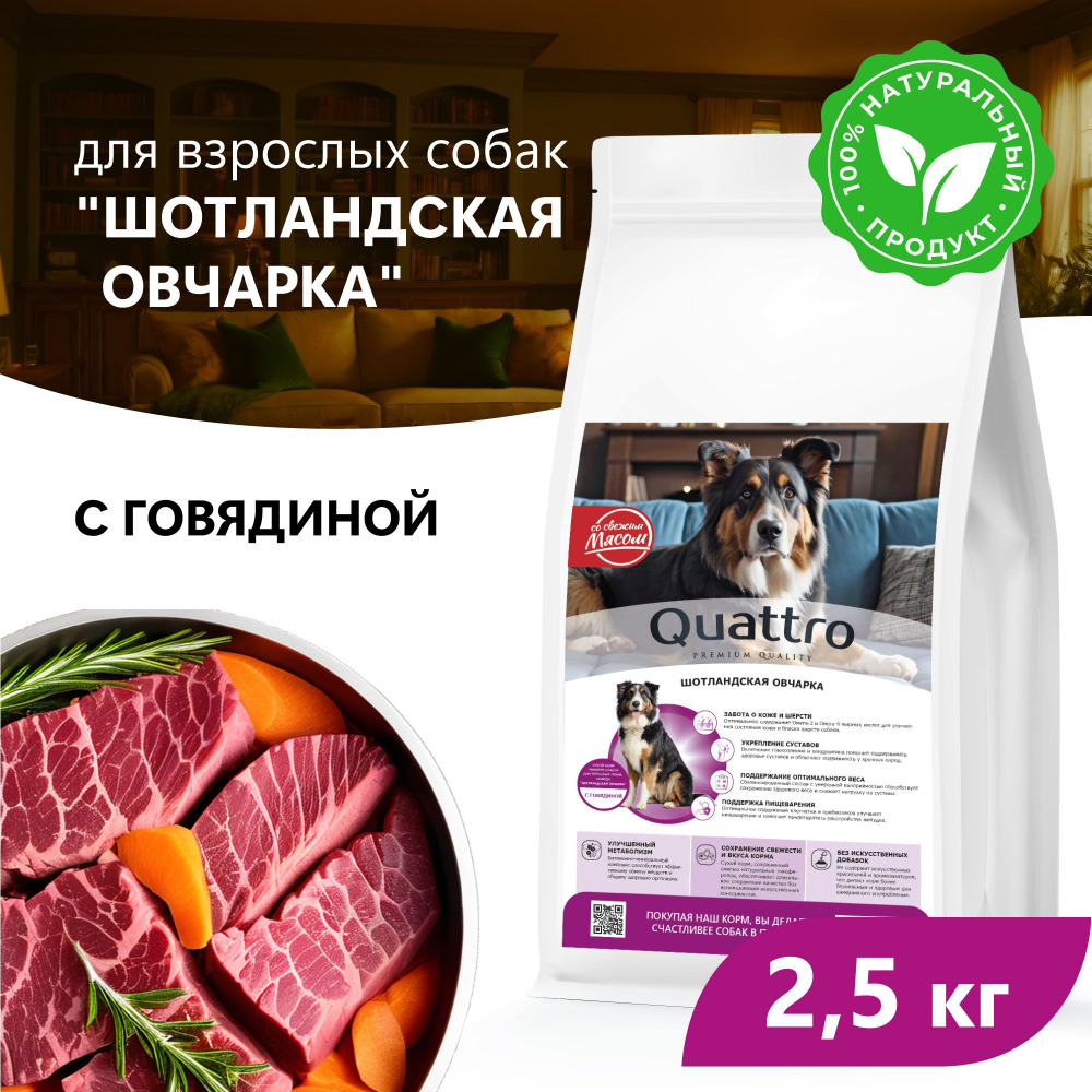 Корм сухой для взрослых собак породы Шотландская овчарка, премиум полнорационный комплекс, с говядиной, 2,5 кг, QUATTRO