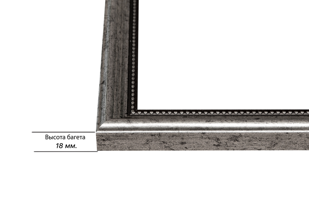 Рама 55x85 для картин и фотографий RP1080360-02