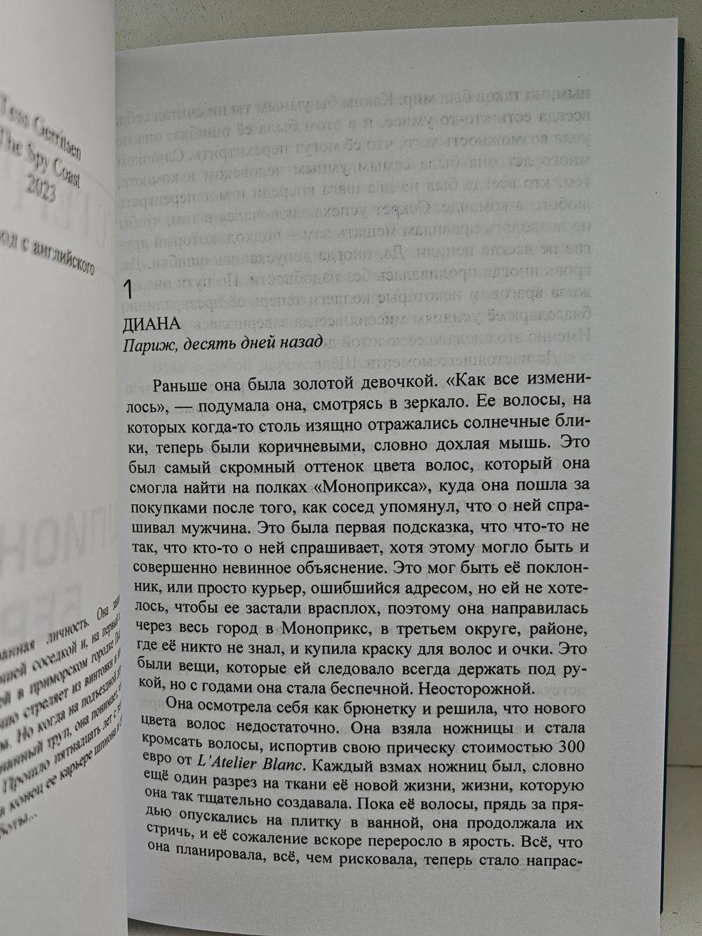 Шпионский берег