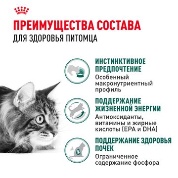 Royal Canin Instinctive +7 влажный корм в СОУСЕ для кошек и котов старше 7 лет