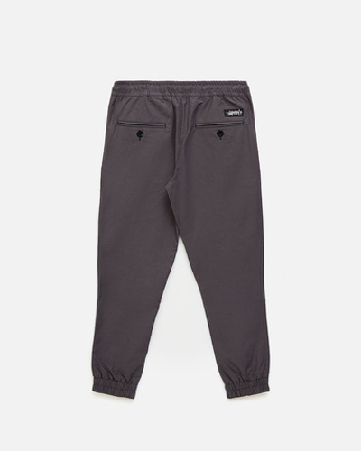 Брюки Anteater Joggers gray