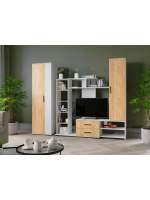 Стенка для гостиной Сидней-1 белый Микон