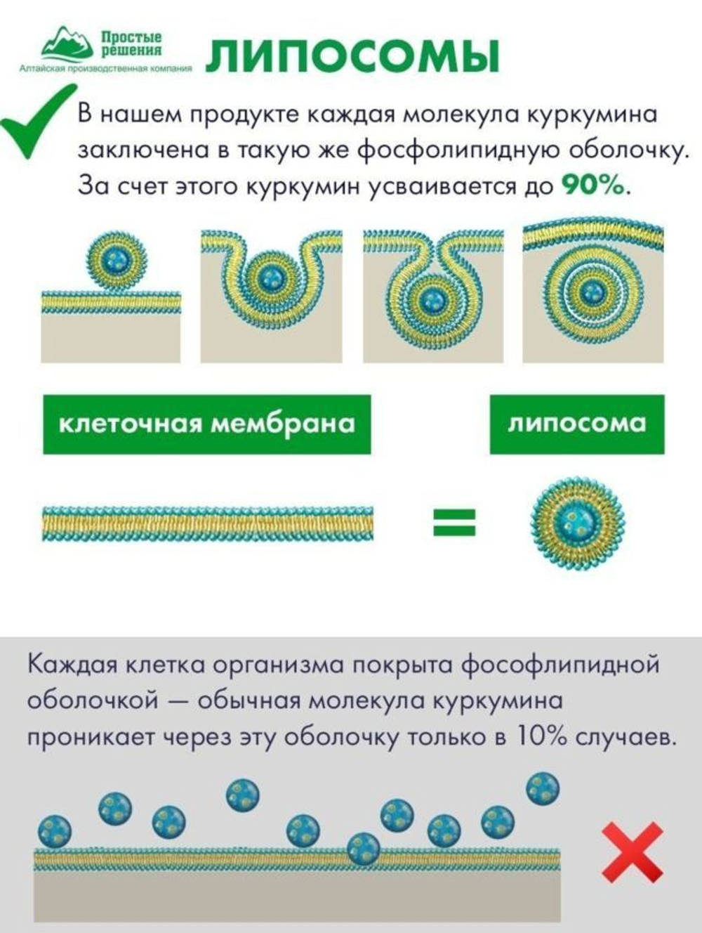 Липосомальный куркумин + комплекс 12 витаминов, ВЕГАН, 60 капсул
