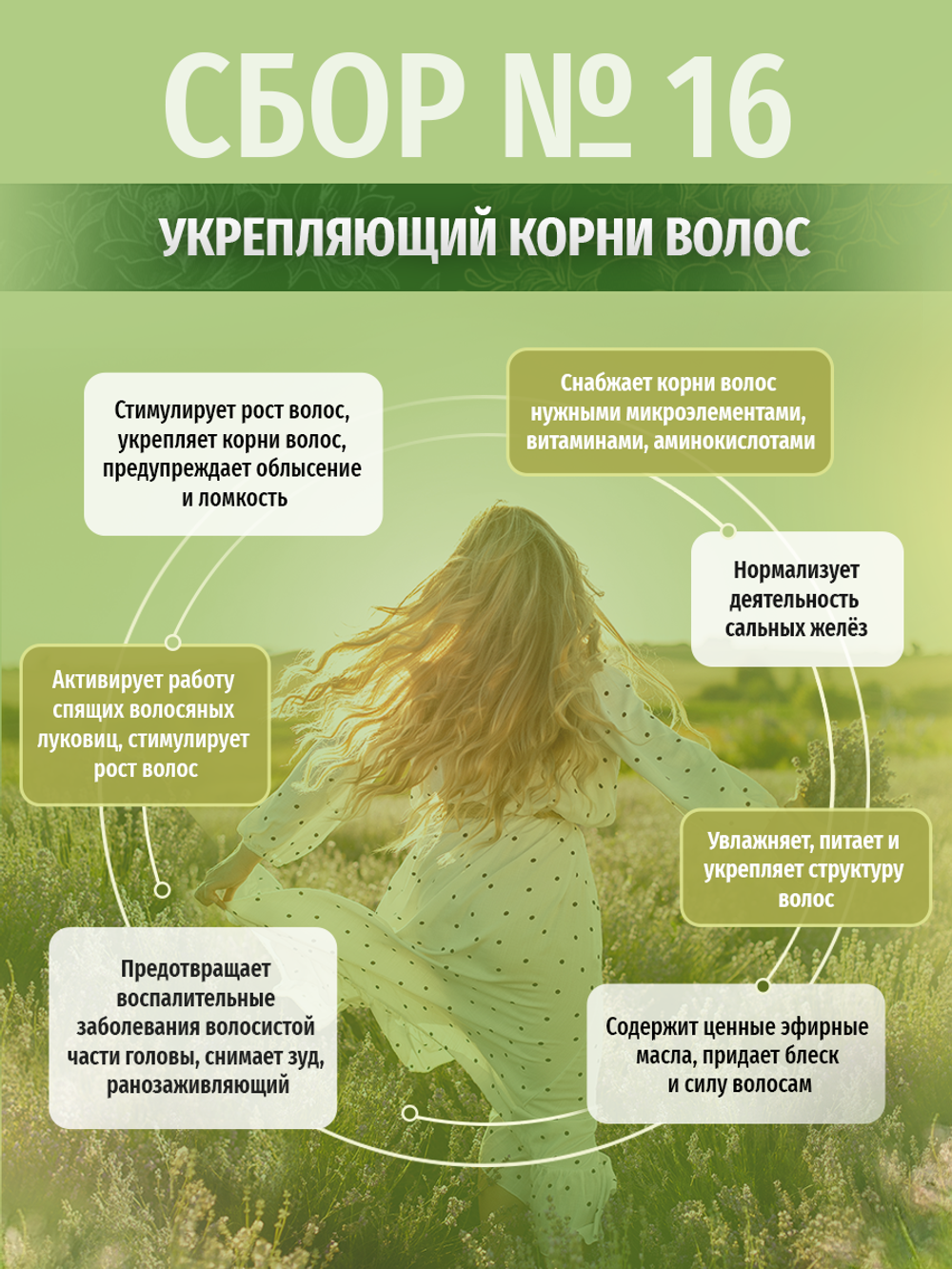 Сбор № 16 Укрепляющий корни волос
