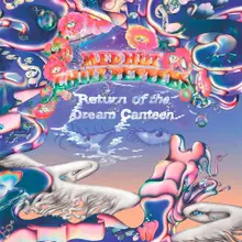 Винил Red Hot Chili Peppers Return Of The Dream Canteen