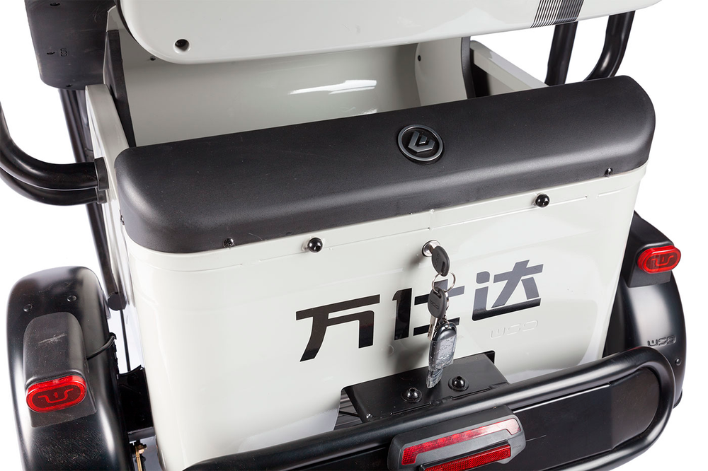 Электротрицикл Wanshida LC300 (1000Вт, 60B)