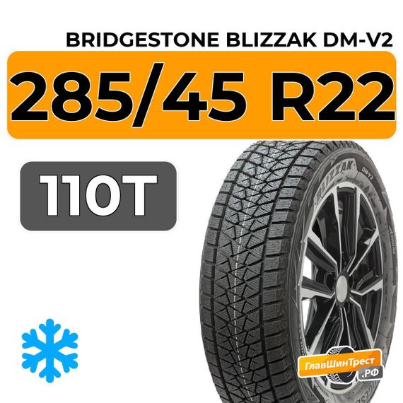 Bridgestone Blizzak DM-V2 285/45 R22 110T