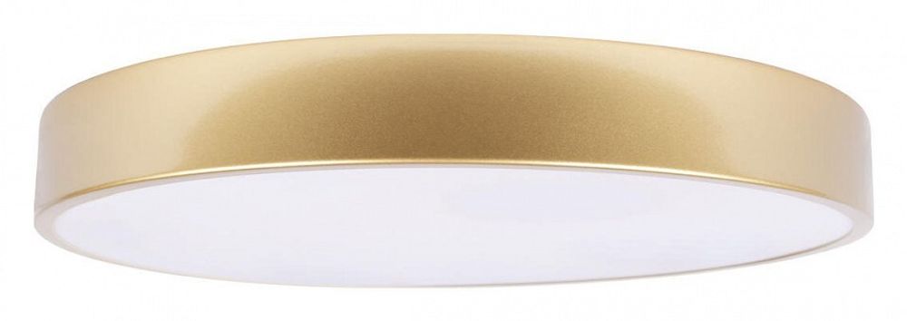 Накладной светильник Loft it Flims 10228/A