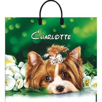 Пакет с пластиковой ручкой ПВД 38х35 (90 мкм) "Шарлотта" сумка лам. (10/100 шт.) Интерпак