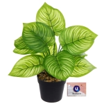 Цветок искусственный в горшке «Калатея» 26см