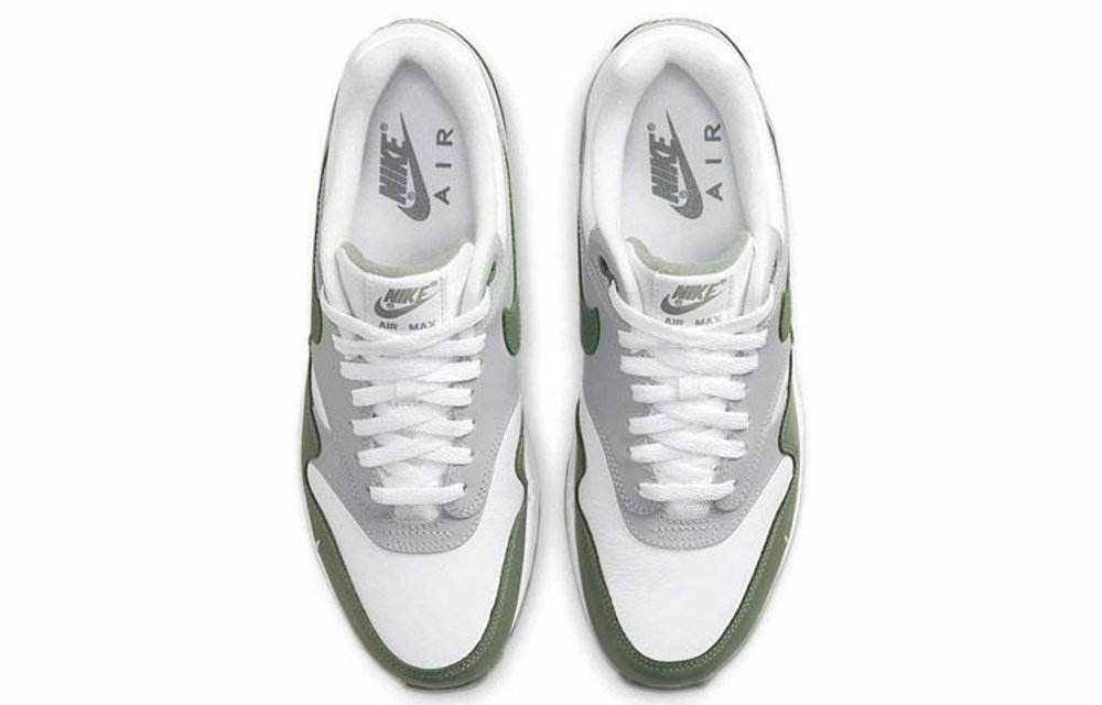 Кроссовки Nike Air Max 1 Premium "Spiral Sage"