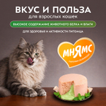 Влажный корм для кошек Деликатес Фондан из мяса курицы с кошачьей мятой Мнямс 80 г 6 шт
