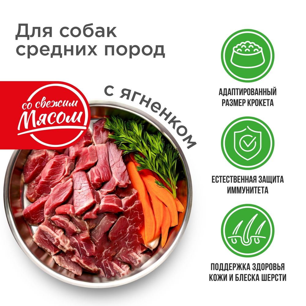 Корм сухой для взрослых собак средних пород, премиум полнорационный сбалансированный, с ягненком, 12 кг, QUATTRO