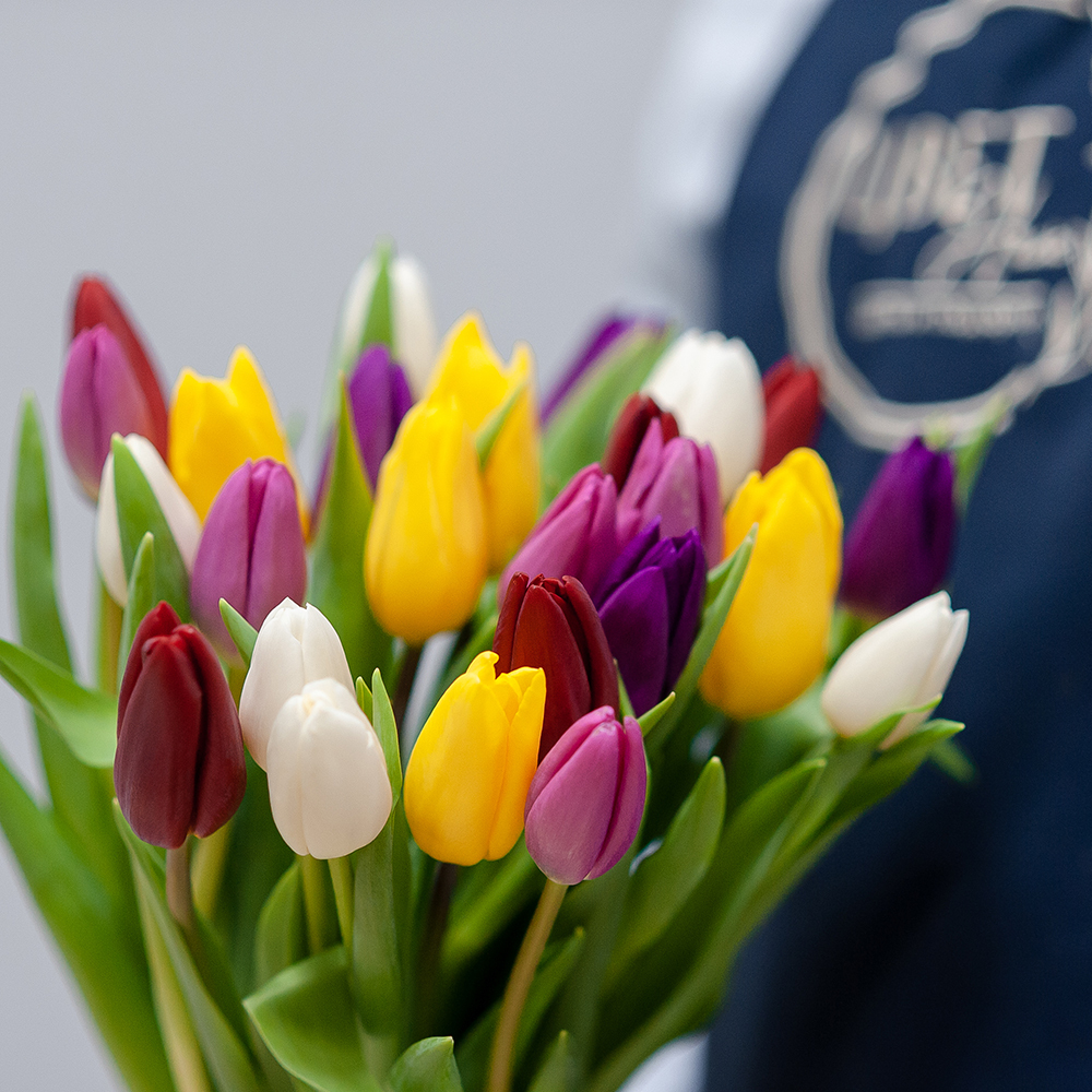 Тюльпаны микс под ленту