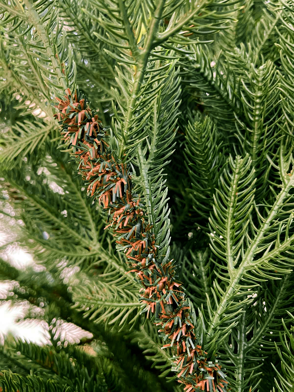 Ель TreeDeLuxe Камчатская премиум 100% литая 230см зеленая