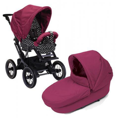 Коляска 2 в 1 Teutonia Mistral P (черное шасси)