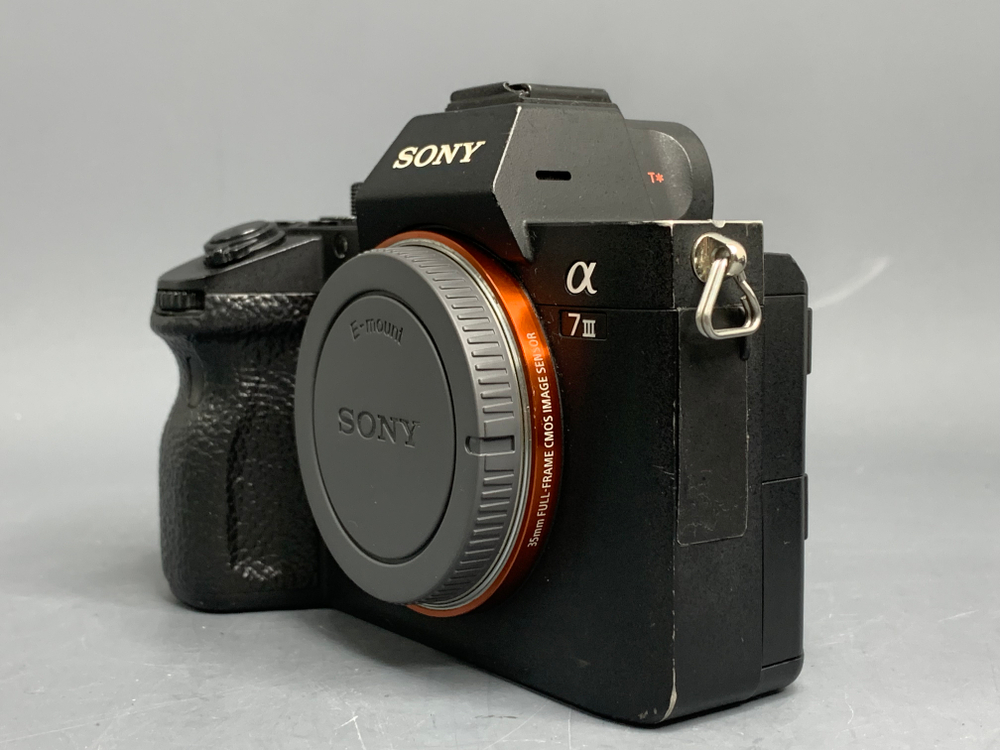 Sony A7 III 12.500 кадров